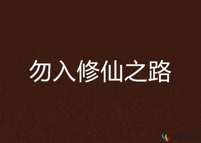 《混搭修仙之路：仙器选择宝典》